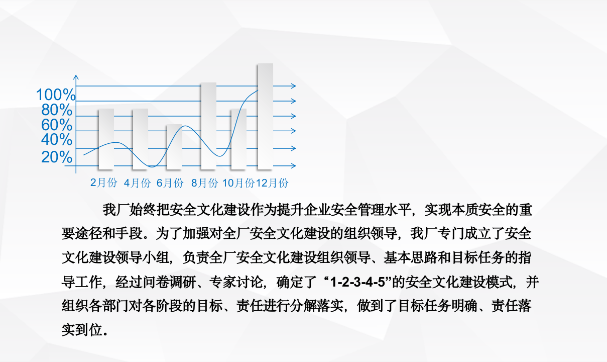 安全文化汇报PPT.pptx 第5页