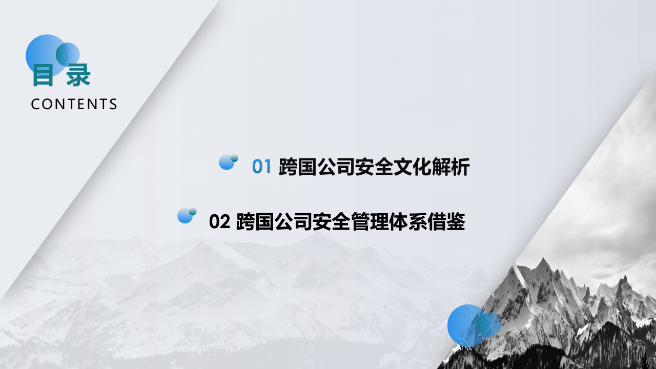 44.跨国公司安全文化及管理体系.pptx 第2页