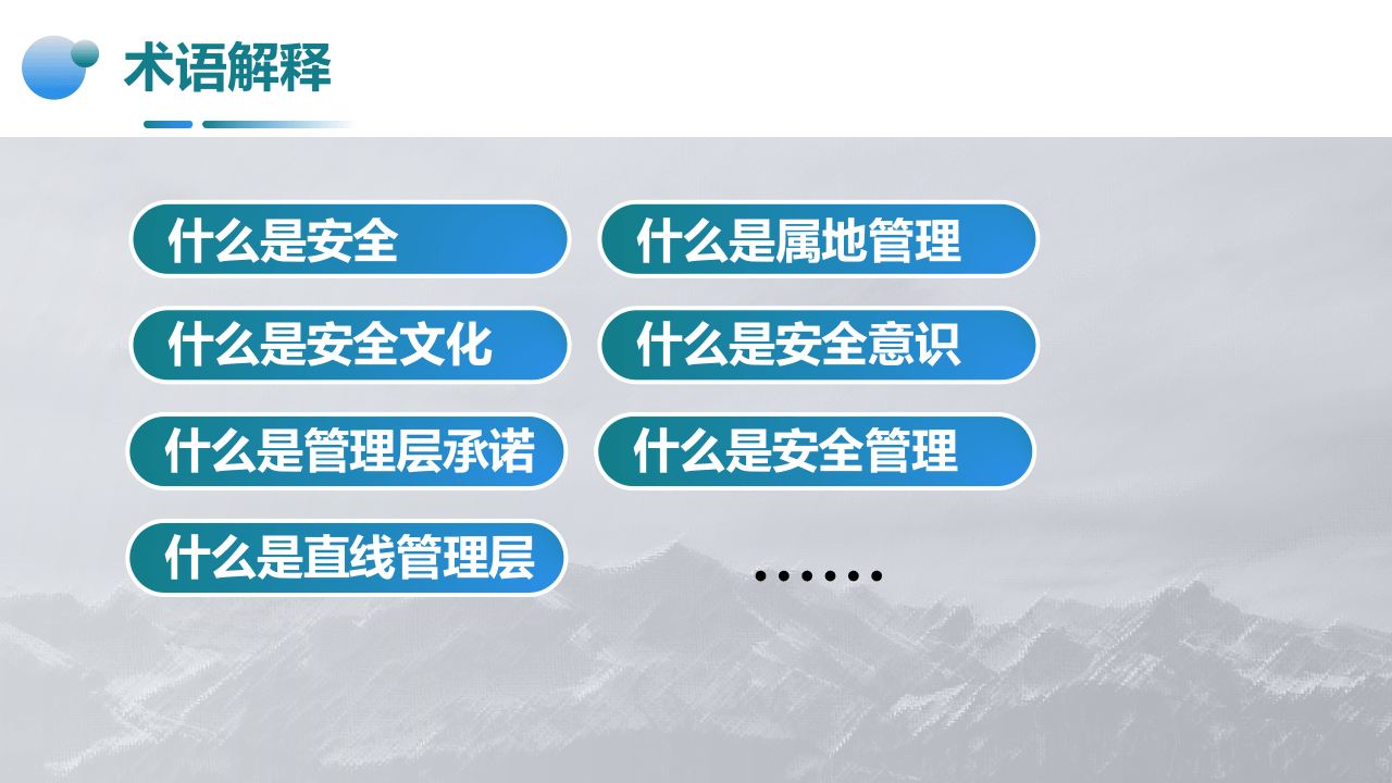 44.跨国公司安全文化及管理体系.pptx 第4页