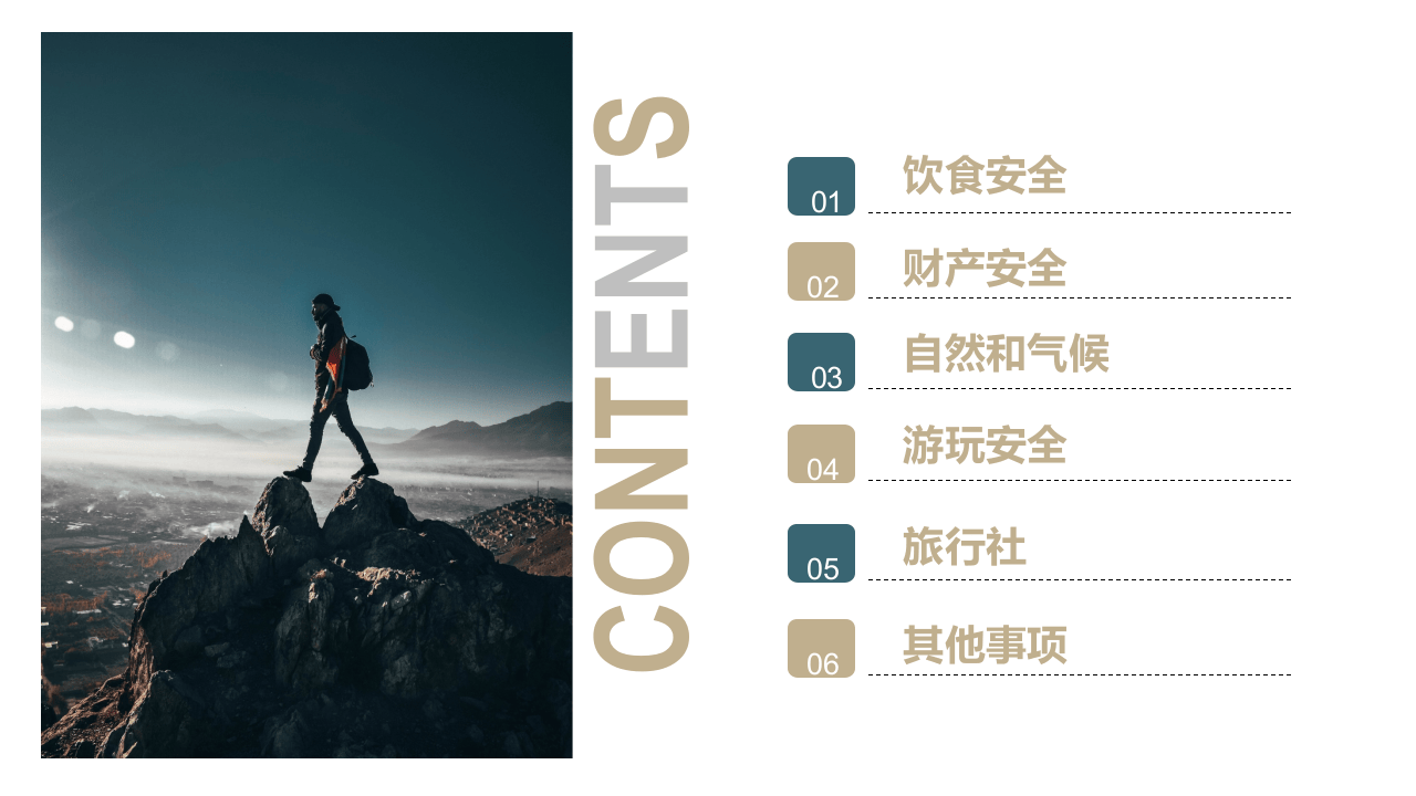 旅游安全.pptx 第2页