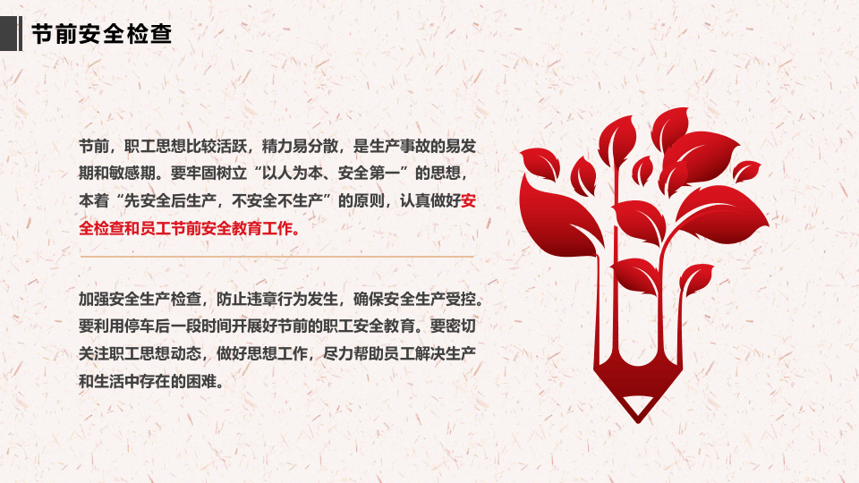 节前安全检查与假日安全 (2).pptx 第5页