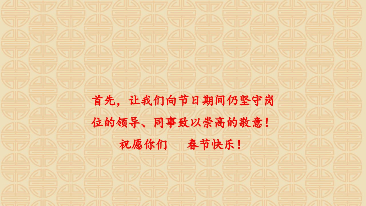 春节值班与公共安全教育.pptx 第2页