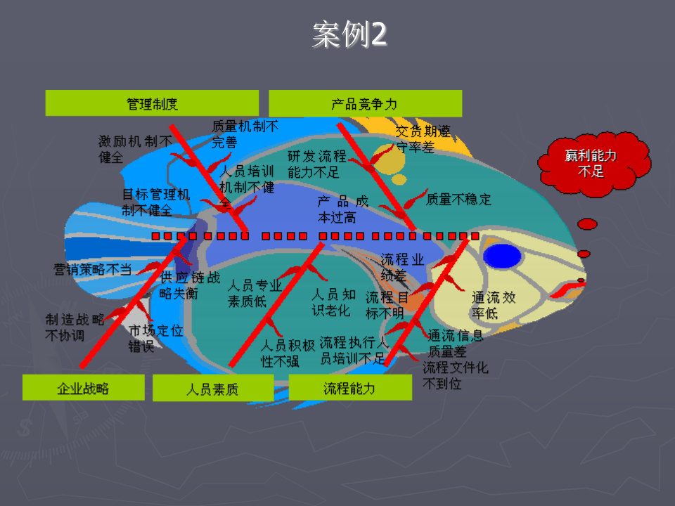 鱼骨图分析方法案例.pptx 第3页
