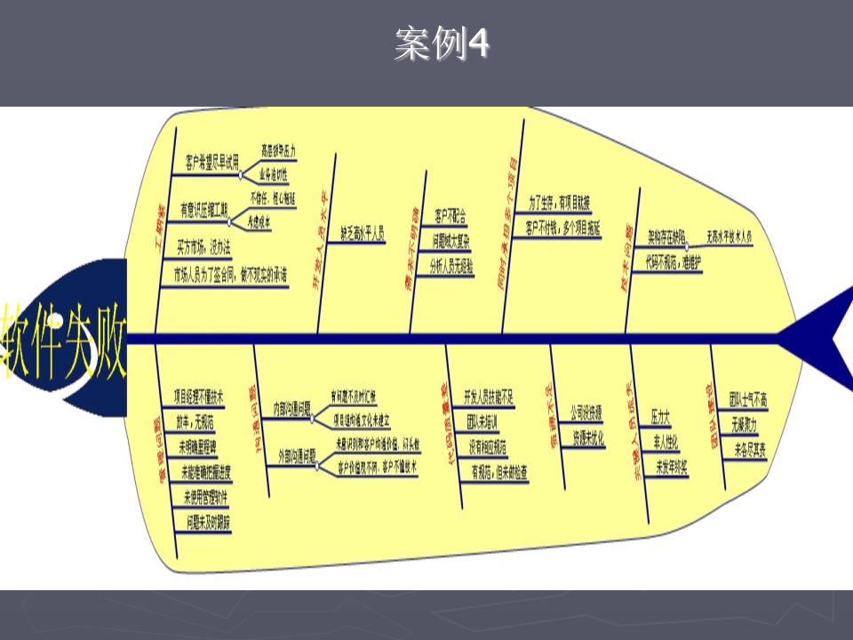 鱼骨图分析方法案例.pptx 第5页
