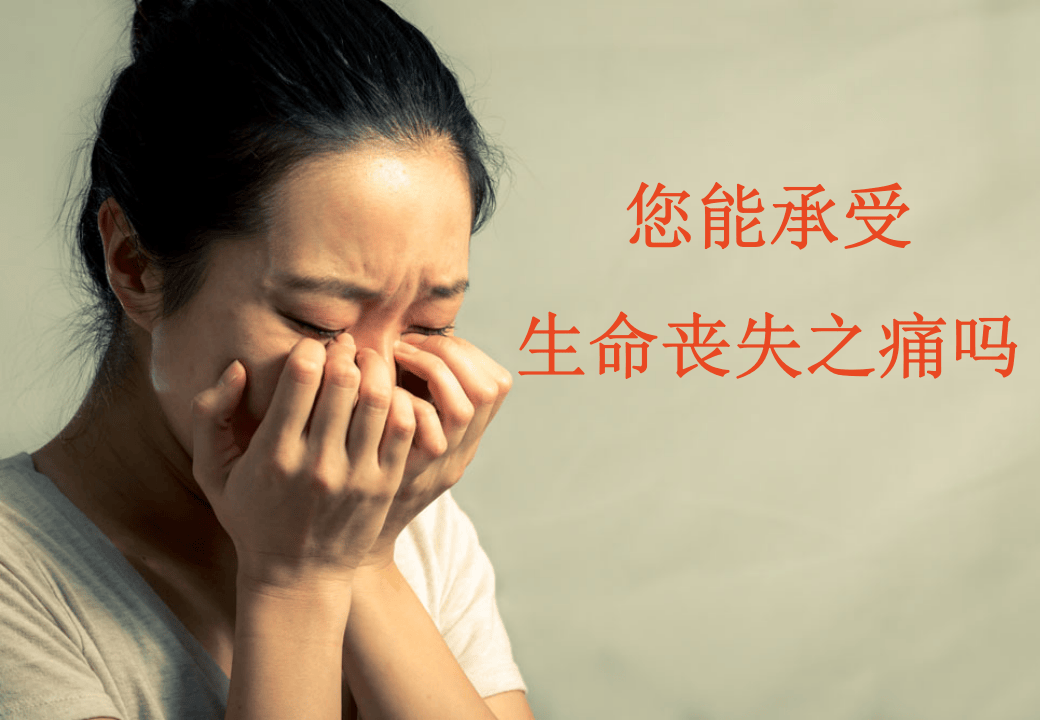 五一节节安全出行培训指南.pptx 第5页