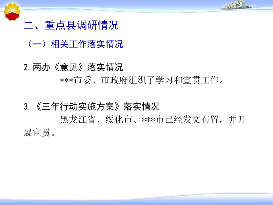 审核问题分析与报告.pptx 第4页