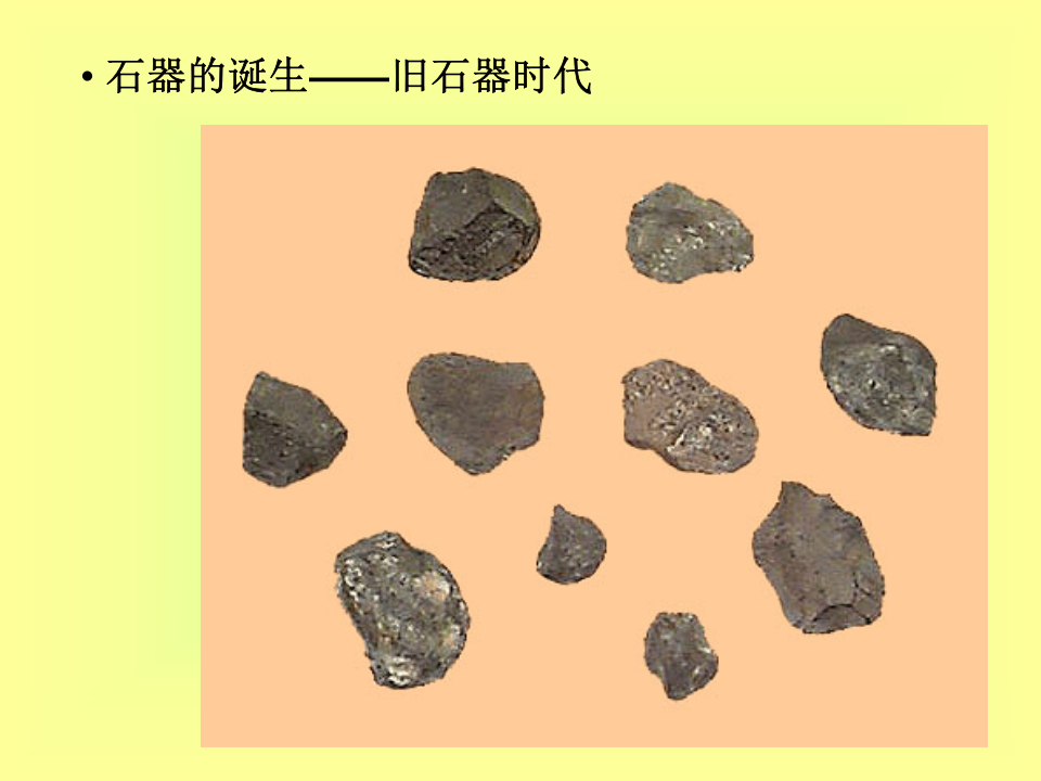 企业安全文化的由来、机理及其发展.ppt 第5页