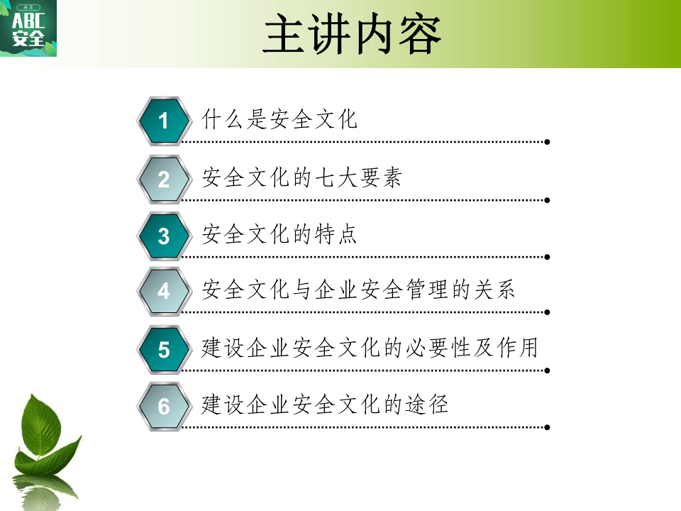 企业安全文化的建立.ppt 第2页