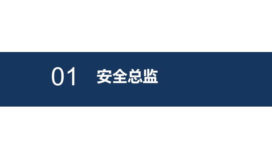 安全总监的未来与成长（35页）.pptx 第3页