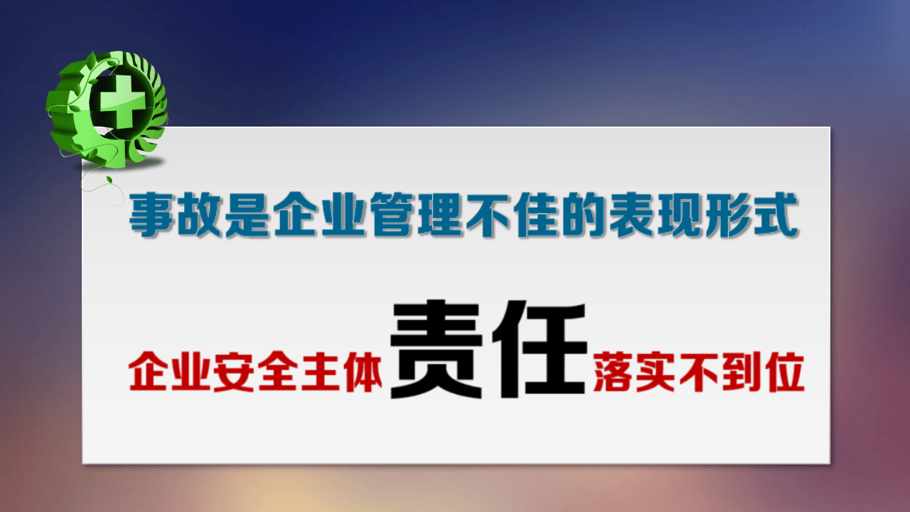 安全领导力与执行力-精品PPT.pptx 第5页