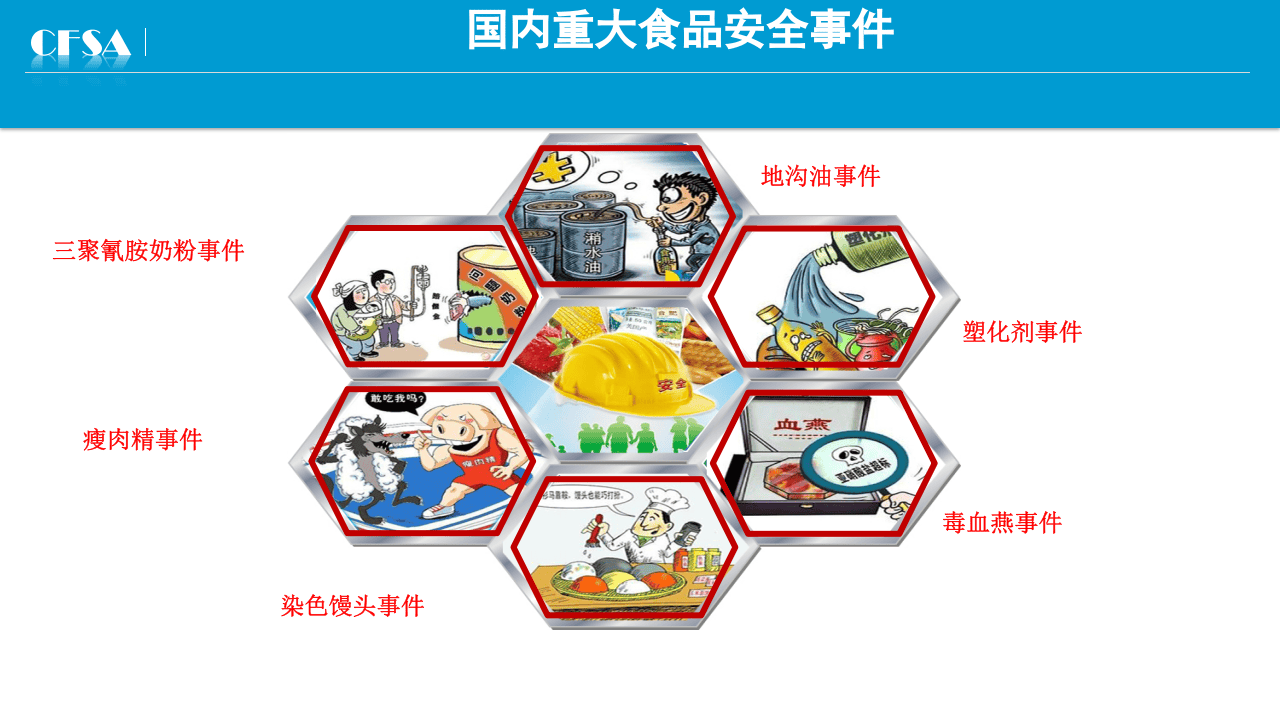 13.食品安全标准专项培训.pptx 第5页