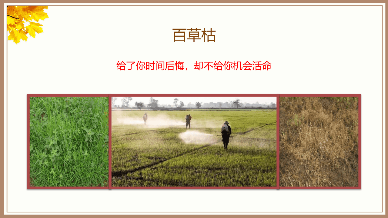 &ldquo;给你时间后悔，缺不给你机会活命&rdquo; &mdash;&mdash;从百草枯中毒谈起之农药中毒.pptx 第3页