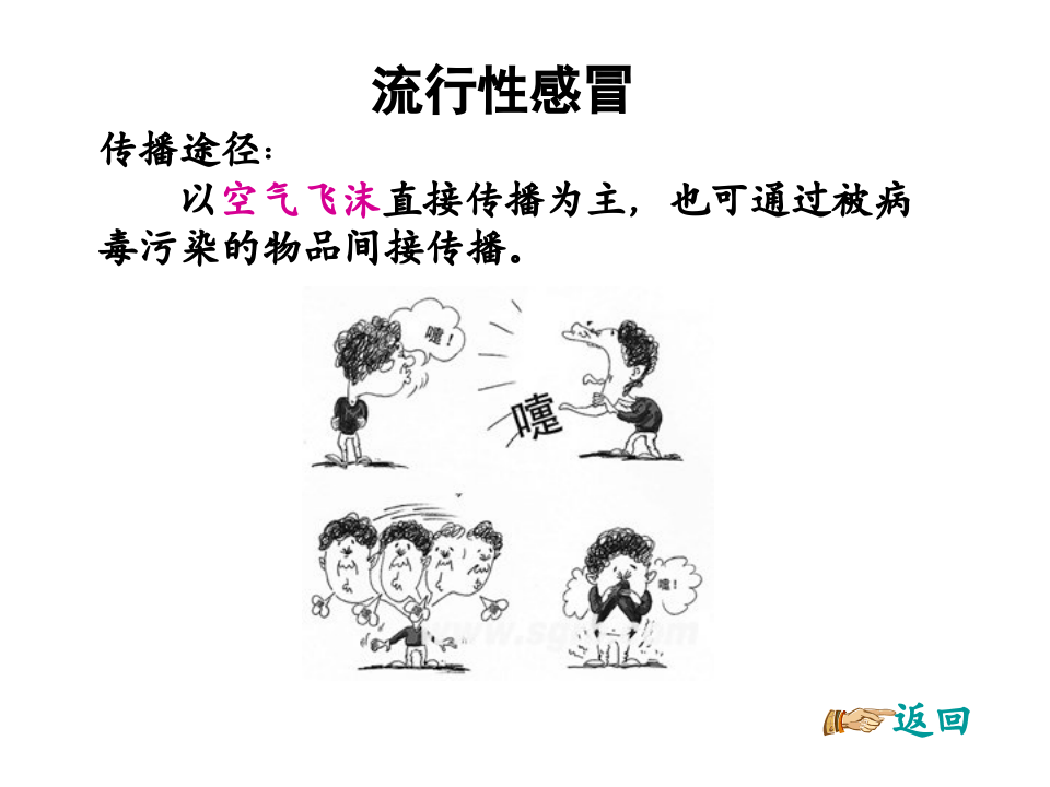 春季常见传染病预防知识.pptx 第5页