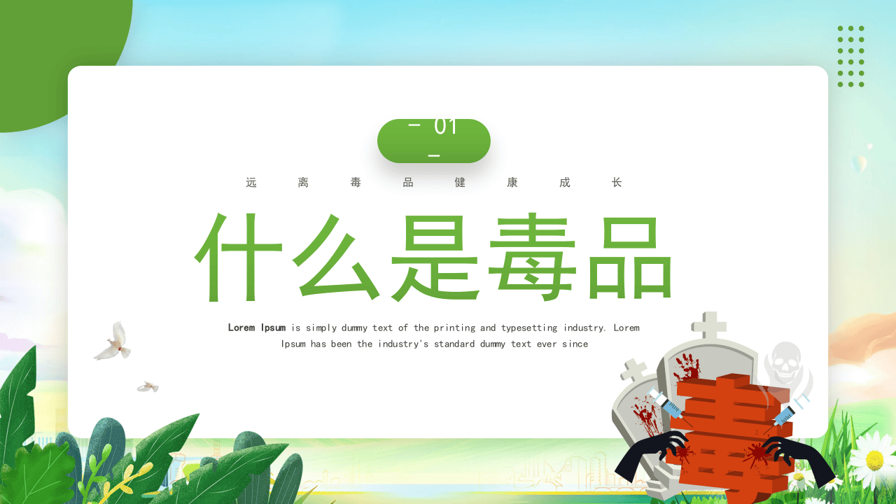珍爱生命原理毒品.pptx 第3页