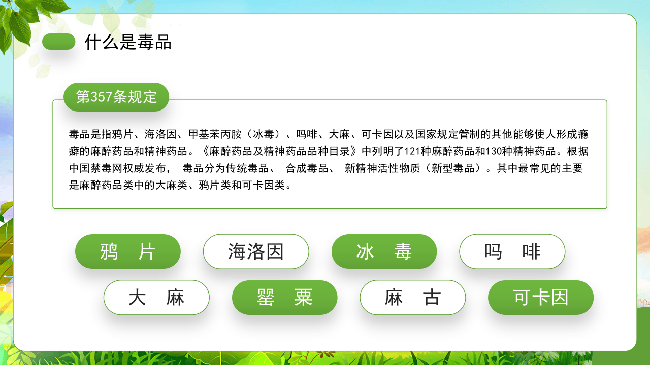 珍爱生命原理毒品.pptx 第4页