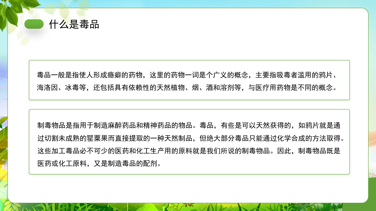 珍爱生命原理毒品.pptx 第5页