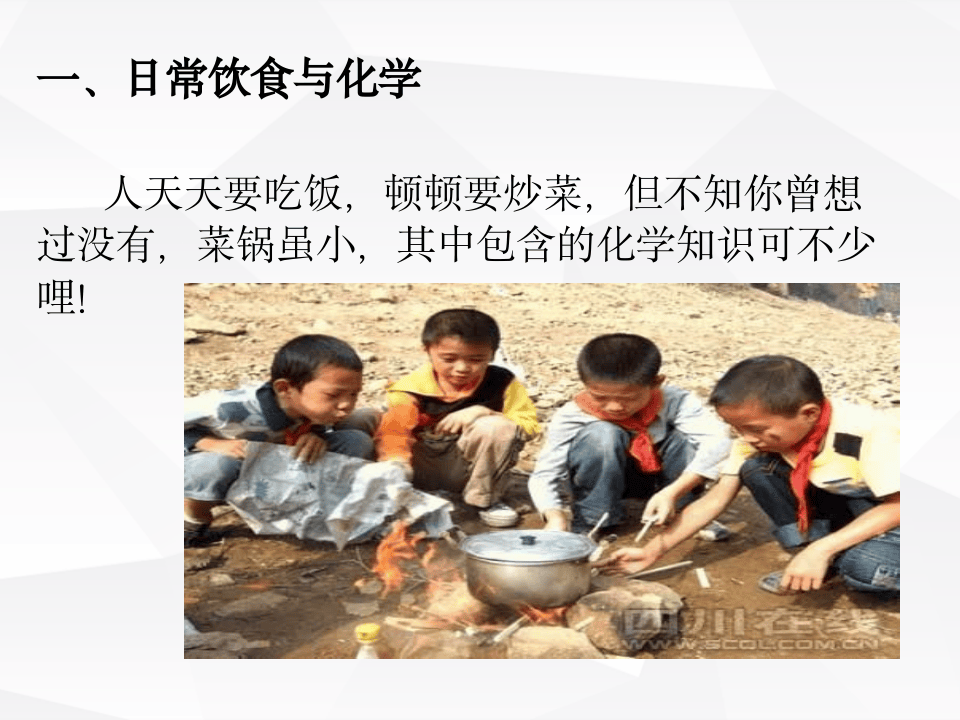 饮食安全远离垃圾食品.ppt 第2页