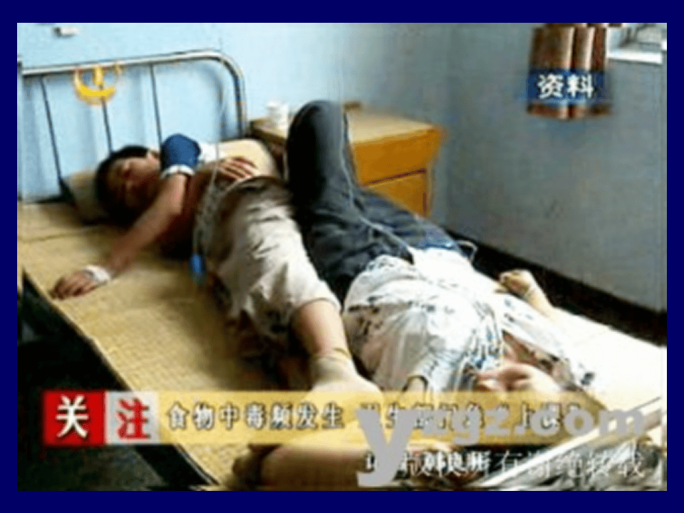 细菌性食物中毒专题培训.ppt 第2页