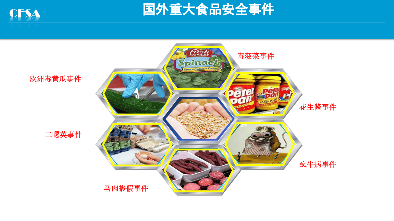 食品安全标准专项培训.pptx 第4页