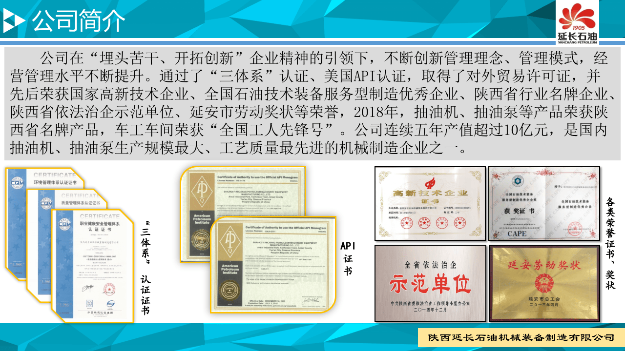 陕西延长石油 安全生产标准化研讨会发言.pptx 第5页