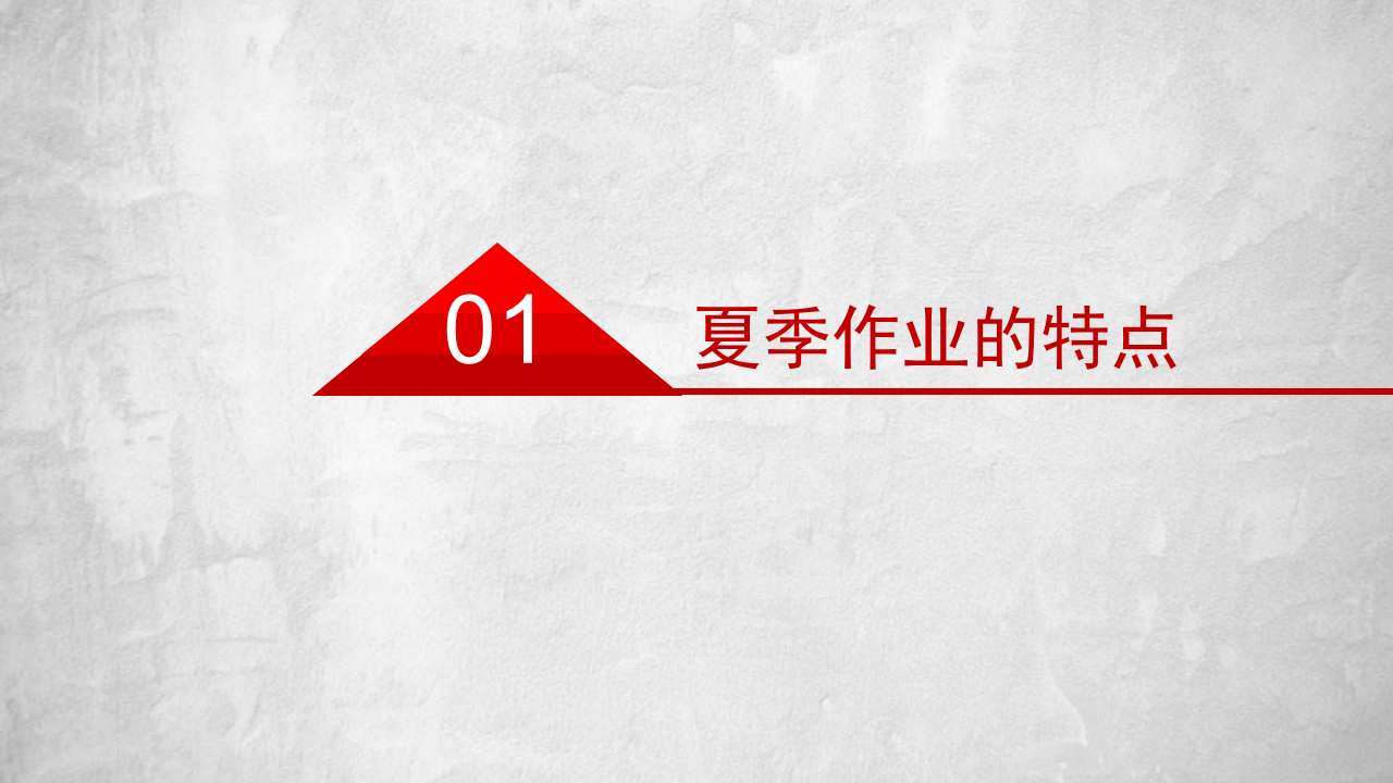 夏季安全生产精品培训课件.pptx 第4页