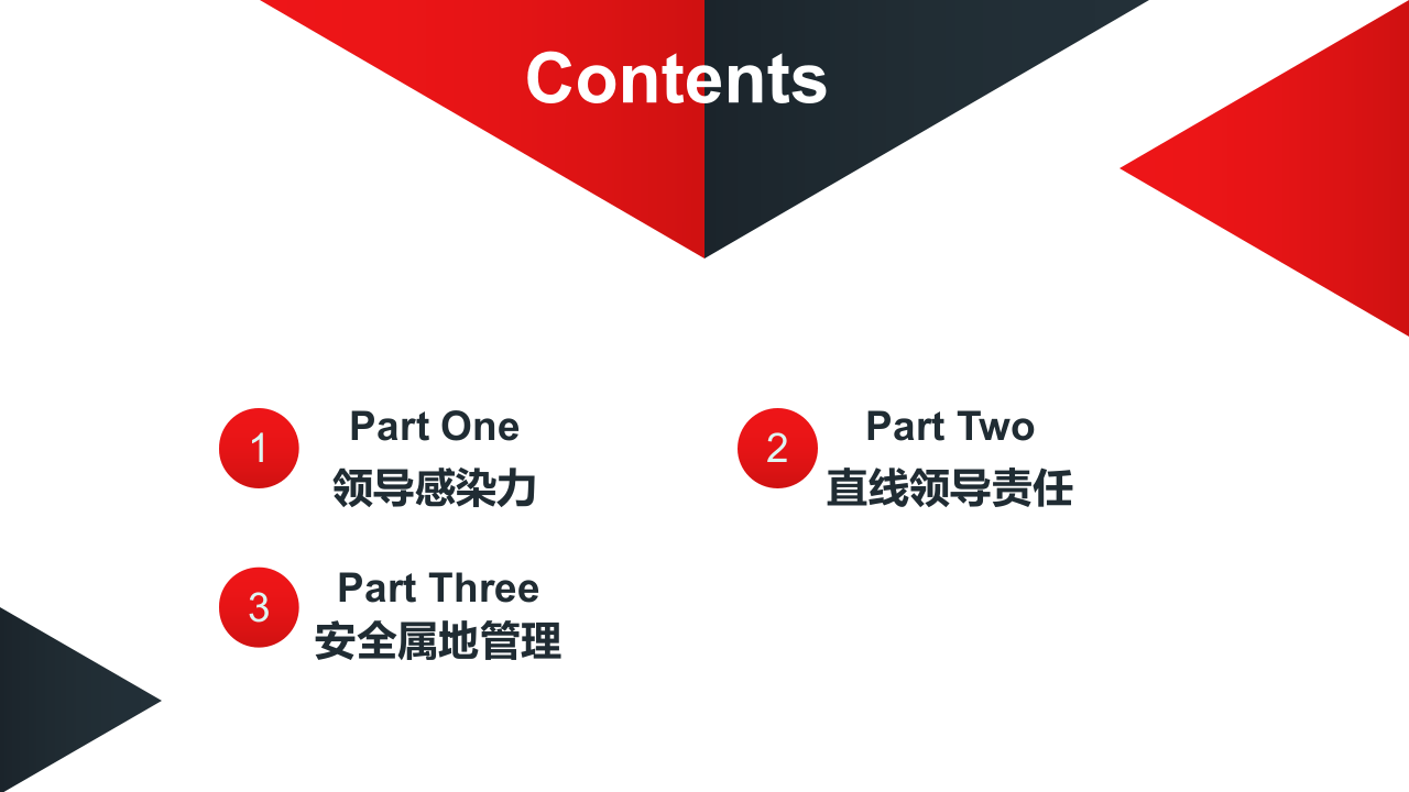 做一名合格的安全&ldquo;领导&rdquo;.ppt 第2页