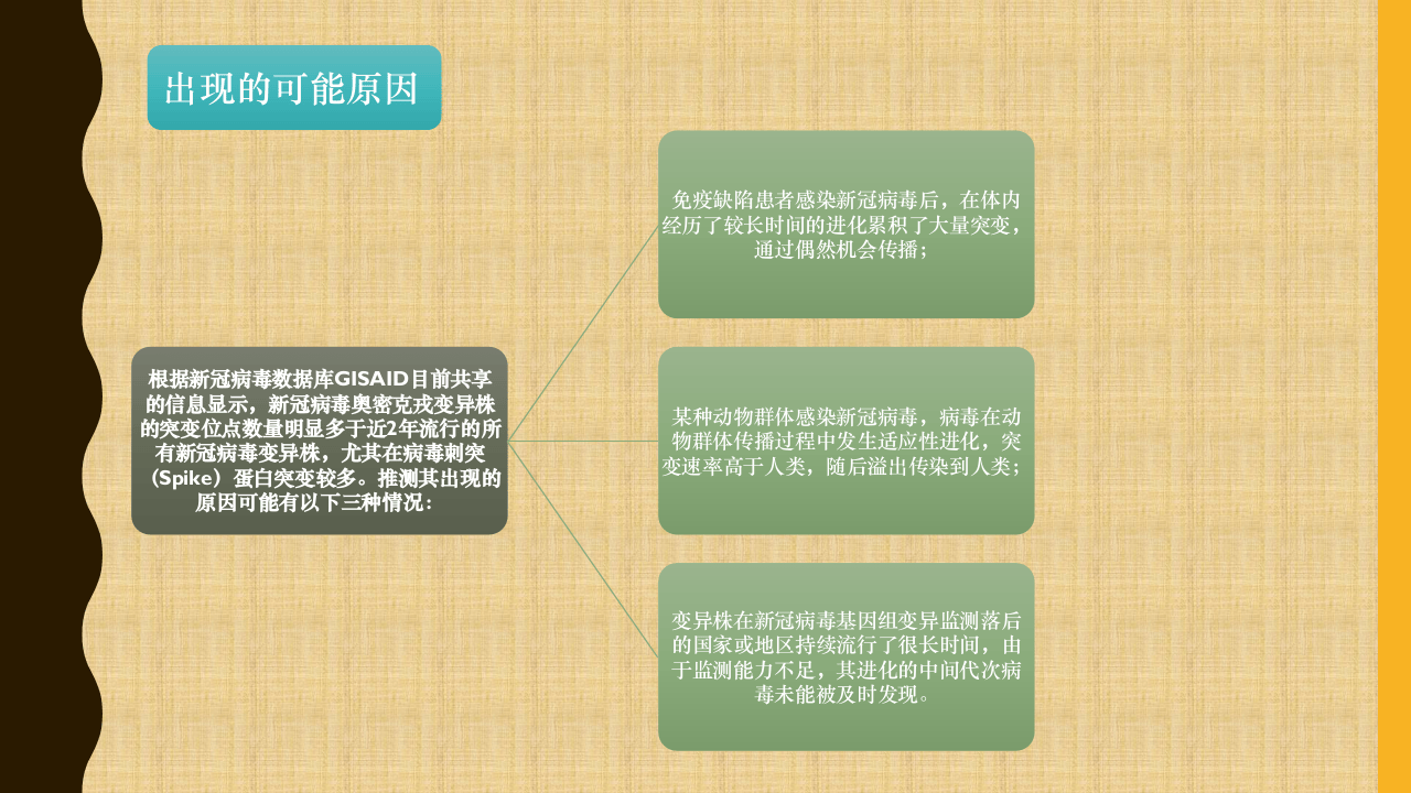 新冠肺炎的变异毒株(奥密克戎)-你应该知道的知.pptx 第4页