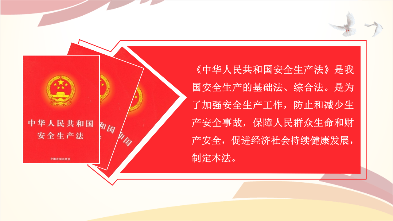 新《安全生产法》解读培训.pptx 第5页