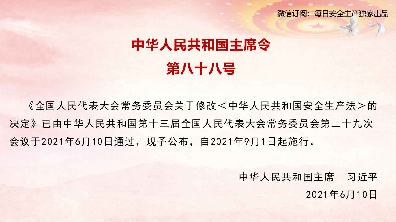 全网首发！新《安全生产法》解读.pptx 第3页