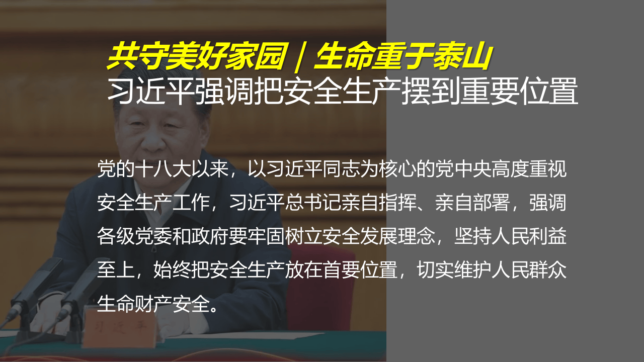 【课件】主要负责人及各级领导安全生产专题培训.pptx 第5页