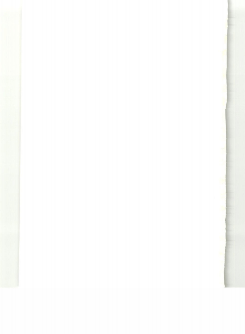 DL_5190_5_2019_电力建设施工技术规范_第5部分_管道及系统.pdf 第2页