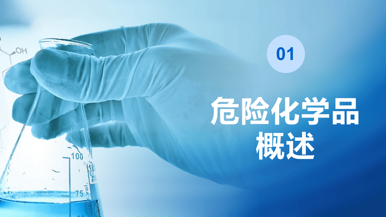 3.危险化学品安全管理培训课件11.pptx 第3页
