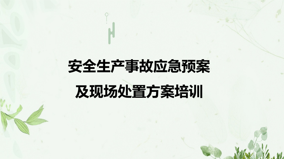 【处置卡培训】安全生产事故应急预案及现场处置方案培训.pptx 第1页
