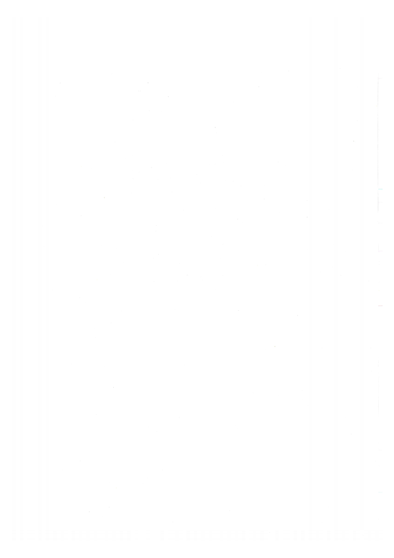 应用指南 JTG 3362-2018 路钢筋混凝土及预应力混凝土桥涵设计规范.pdf 第4页