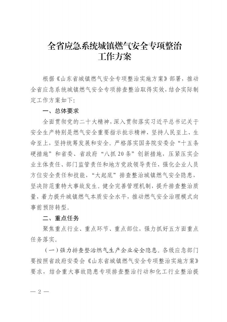 山东省应急管理厅关于印发《全省应急系统城镇燃气安全专项整治工作方案》的通知.pdf 第2页