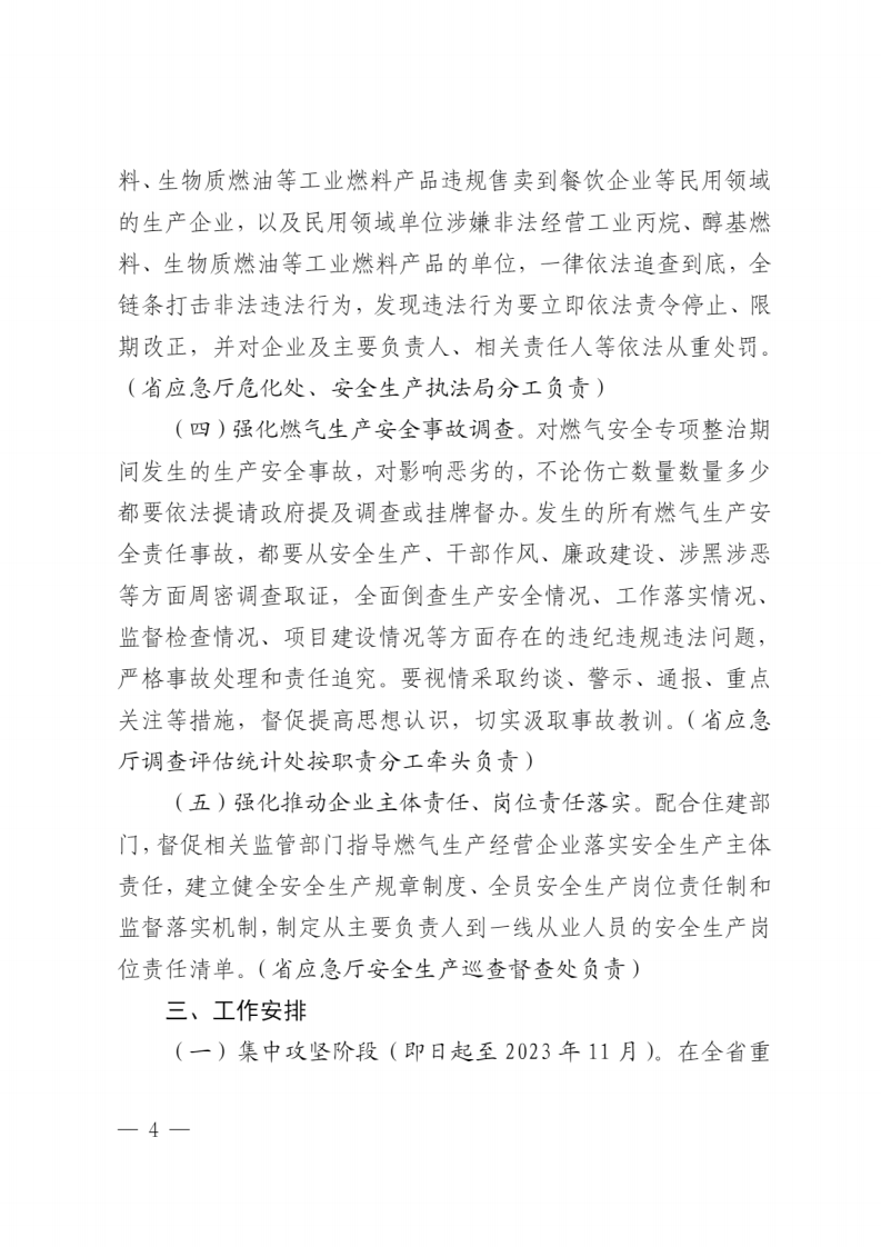 山东省应急管理厅关于印发《全省应急系统城镇燃气安全专项整治工作方案》的通知.pdf 第4页