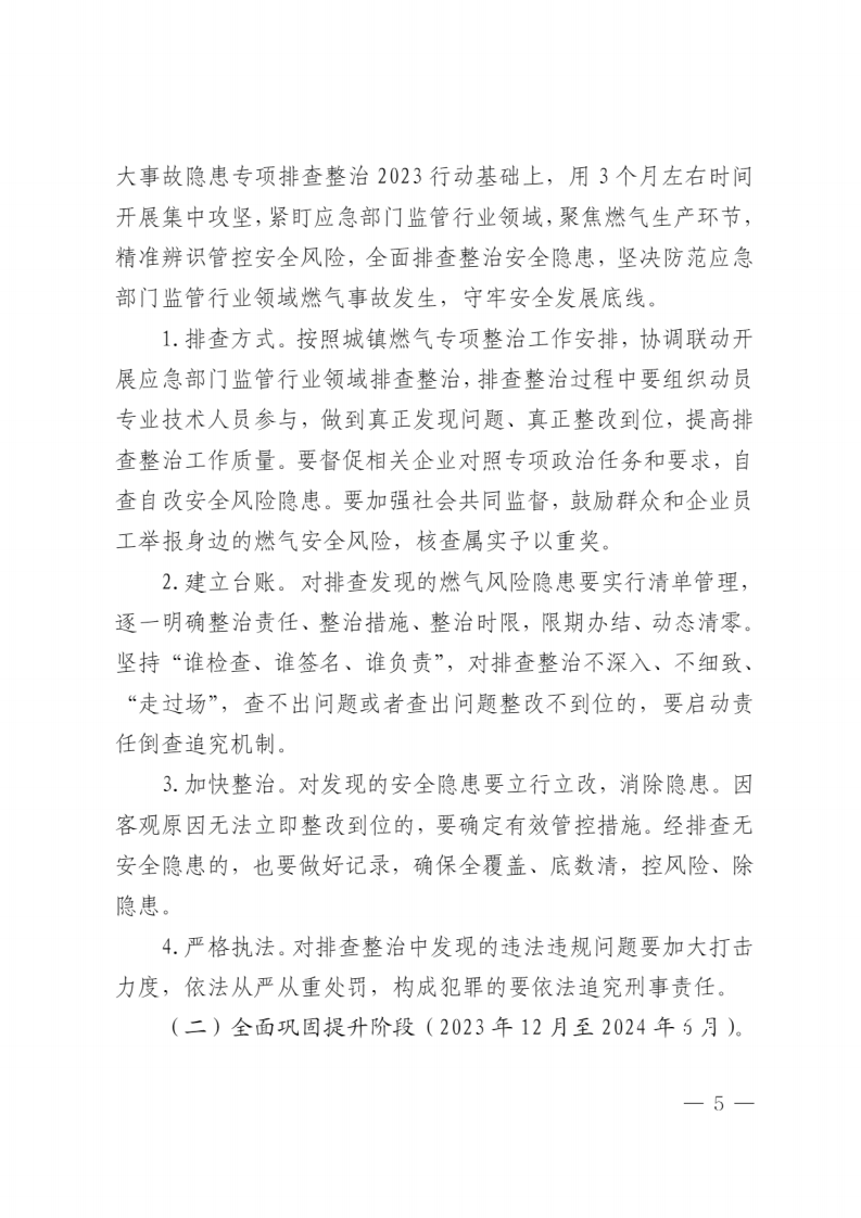 山东省应急管理厅关于印发《全省应急系统城镇燃气安全专项整治工作方案》的通知.pdf 第5页