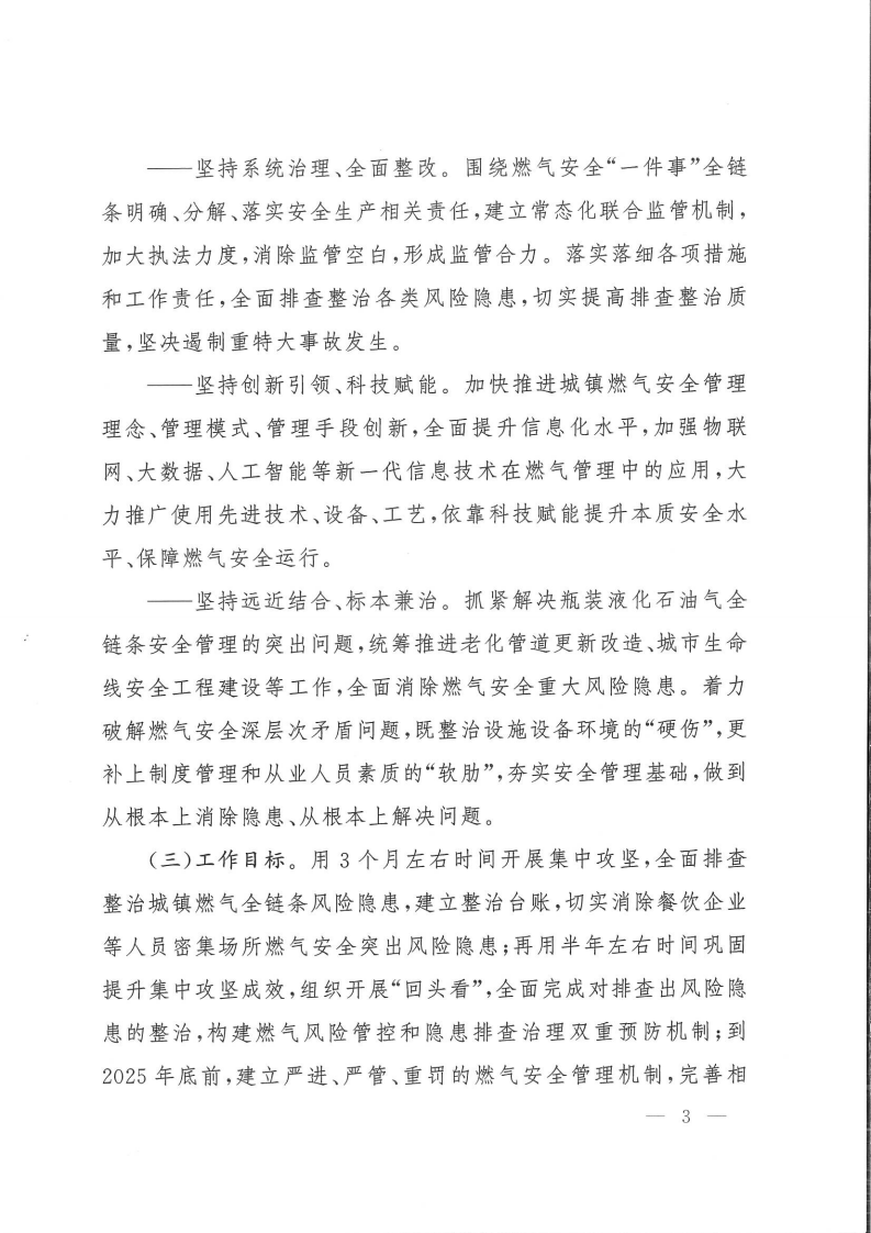 全国城镇燃气安全专项整治工作方案.pdf 第3页