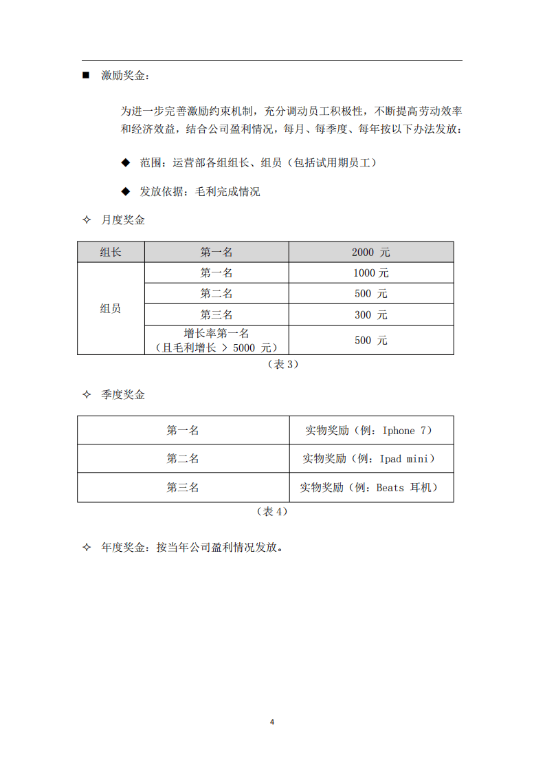 正规运营手册.pdf 第5页