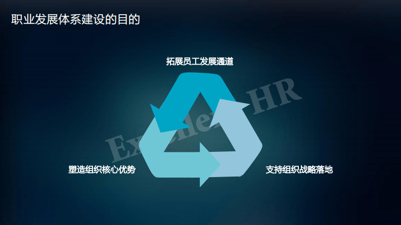 13 华为职业发展体系建设实践与标杆对比.pdf 第2页