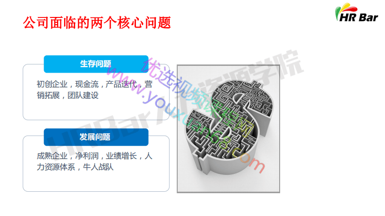 组织问题识别与HR项目规划.pdf 第2页