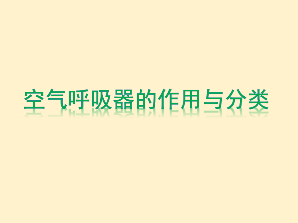 正压式空气呼吸器的正确使用与维护保养.pptx 第2页