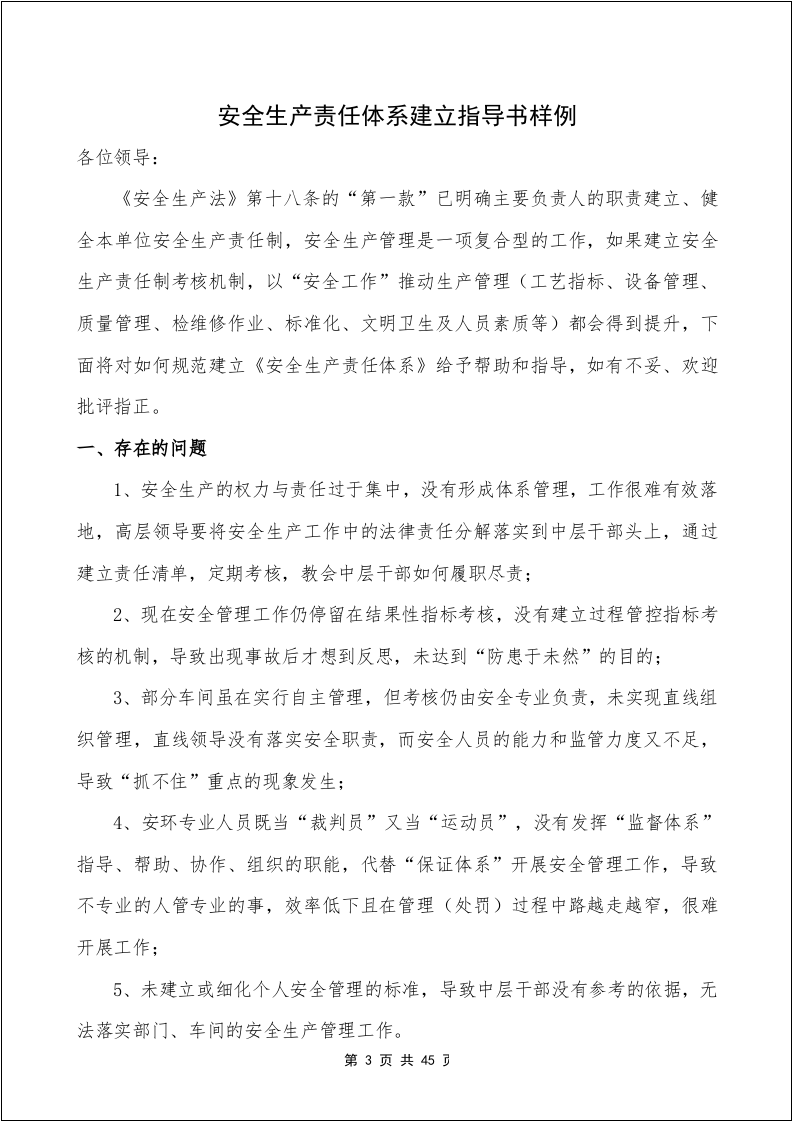 安全生产责任体系建立指导书.docx 第3页