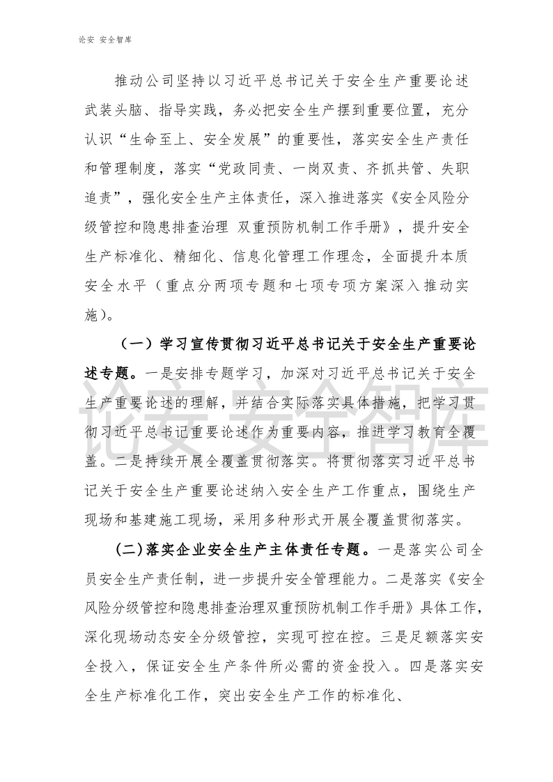 XX有限公司《安全生产专项整治三年行动计划》实施方案.docx 第2页