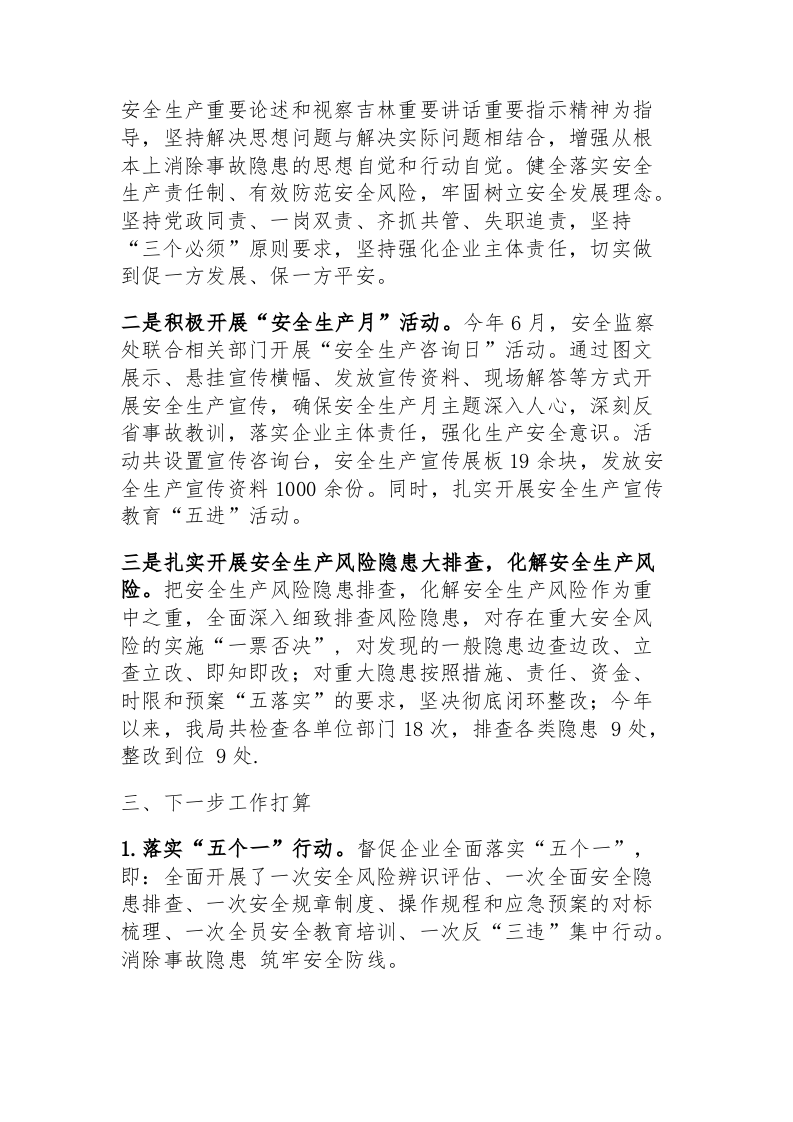 XXX局安全生产和消防安全专项整治三年行动工作总结.docx 第4页
