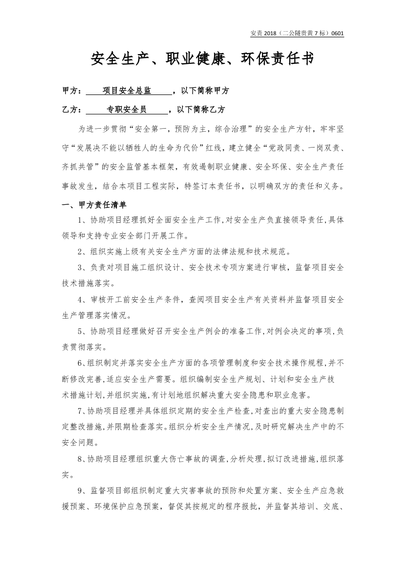 安全总监与安全员责任书.docx 第1页