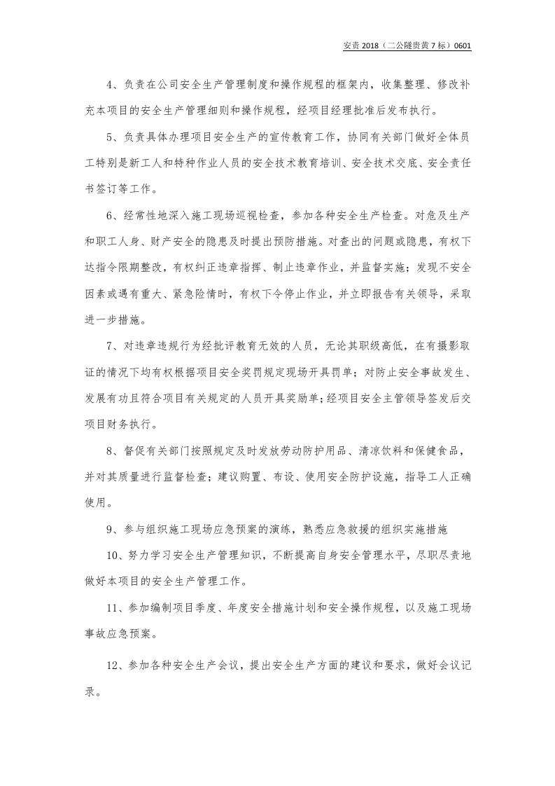 安全总监与安全员责任书.docx 第3页