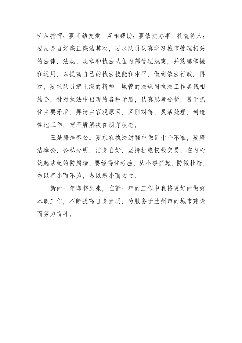 城管个人工作总结.doc 第2页