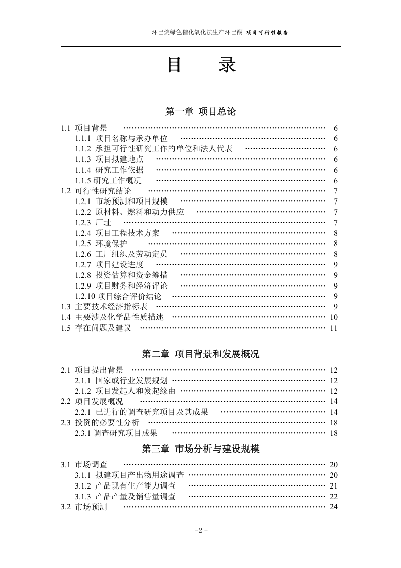 化氧化法生产环己酮 项目可行性报告.doc 第2页