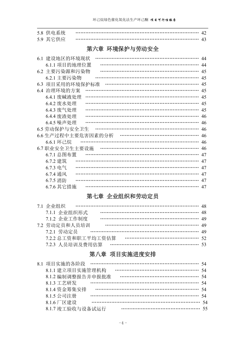 化氧化法生产环己酮 项目可行性报告.doc 第4页